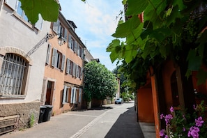 Eksteriør