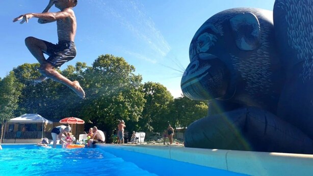A person jumping into a swimming pool with a large animal sculpture in the background. - Camping 3 étoiles - Piscine  - ccbgcii (Lavelanet)