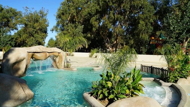Piscina com cachoeira, rodeada por vegetação exuberante e árvores.