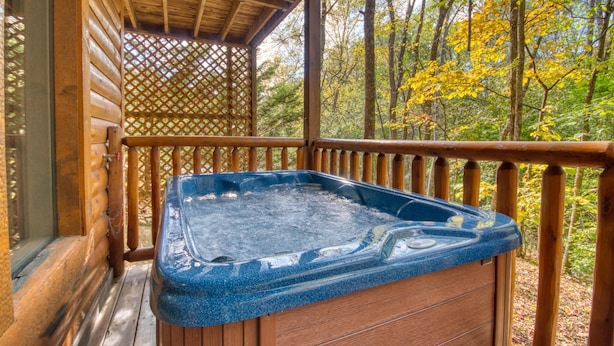 Unclassified image, 1 of 29, button - Pigeon Forge Waterworld #2449 (Pigeon Forge)