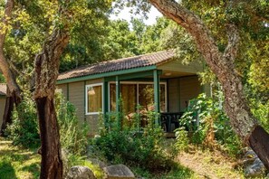 A small, single-story building with a green roof and white trim, surrounded by trees and vegetation.