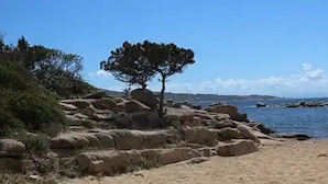 A coastal landscape with a prominent tree and rocky formations. - Chalet 2 étoiles - Piscine  - ccbgdfh (Porto-Vecchio)