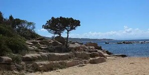 Un paisaje costero con un árbol destacado y formaciones rocosas.