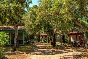 Une rangée de cabanes séparées par un chemin de terre, le tout entouré d’arbres.