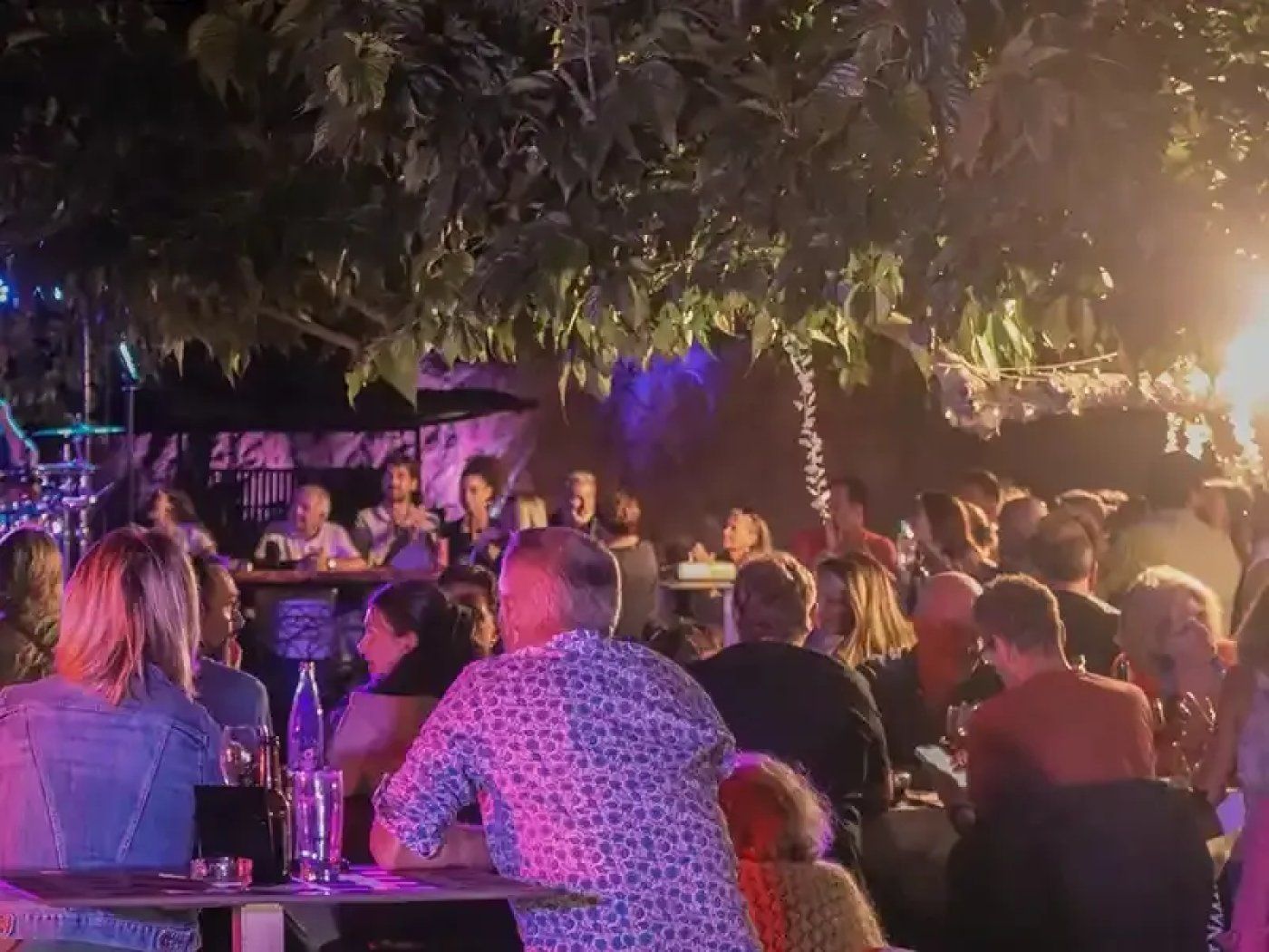 Un espacio al aire libre con mesas y sillas lleno de gente, rodeado de follaje.