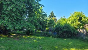 A grassy yard with trees and a wooden fence. - Cozy vacation apartment in the Hoher Fläming Nature Park with a spacious garden (Wiesenburg/Mark)