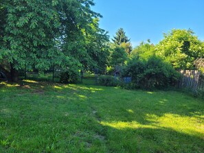 Une cour verdoyante avec des arbres et une clôture en bois.