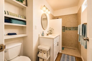 Shower, hair dryer, shampoo