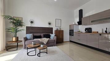Fernseher