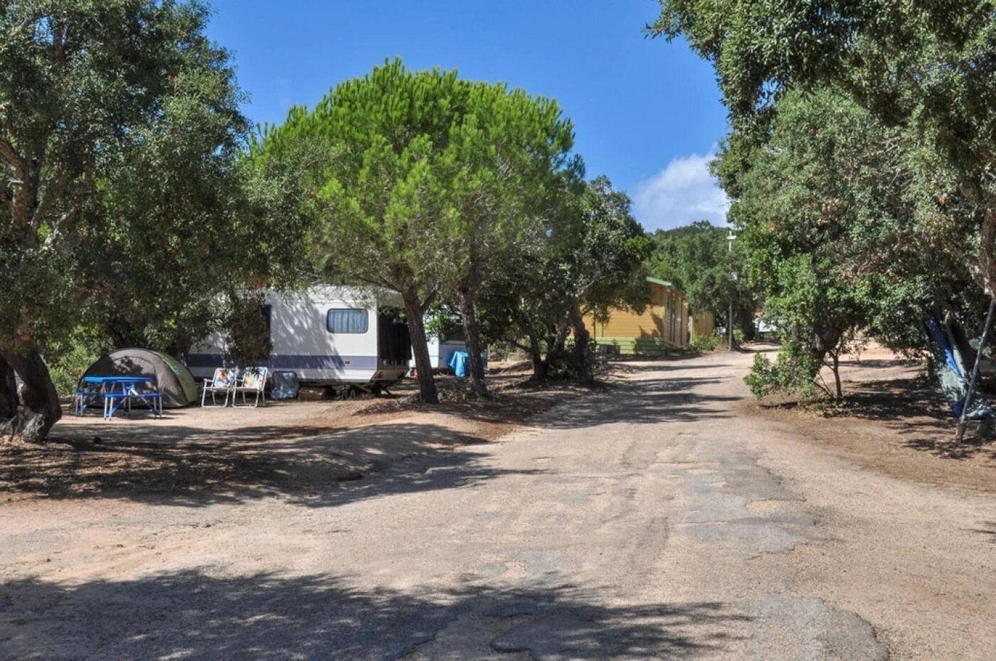 A campsite with RVs, tents, and trees.