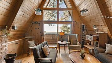 TV, fireplace, books