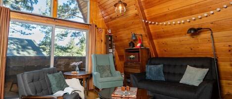 Televisión, chimenea y libros