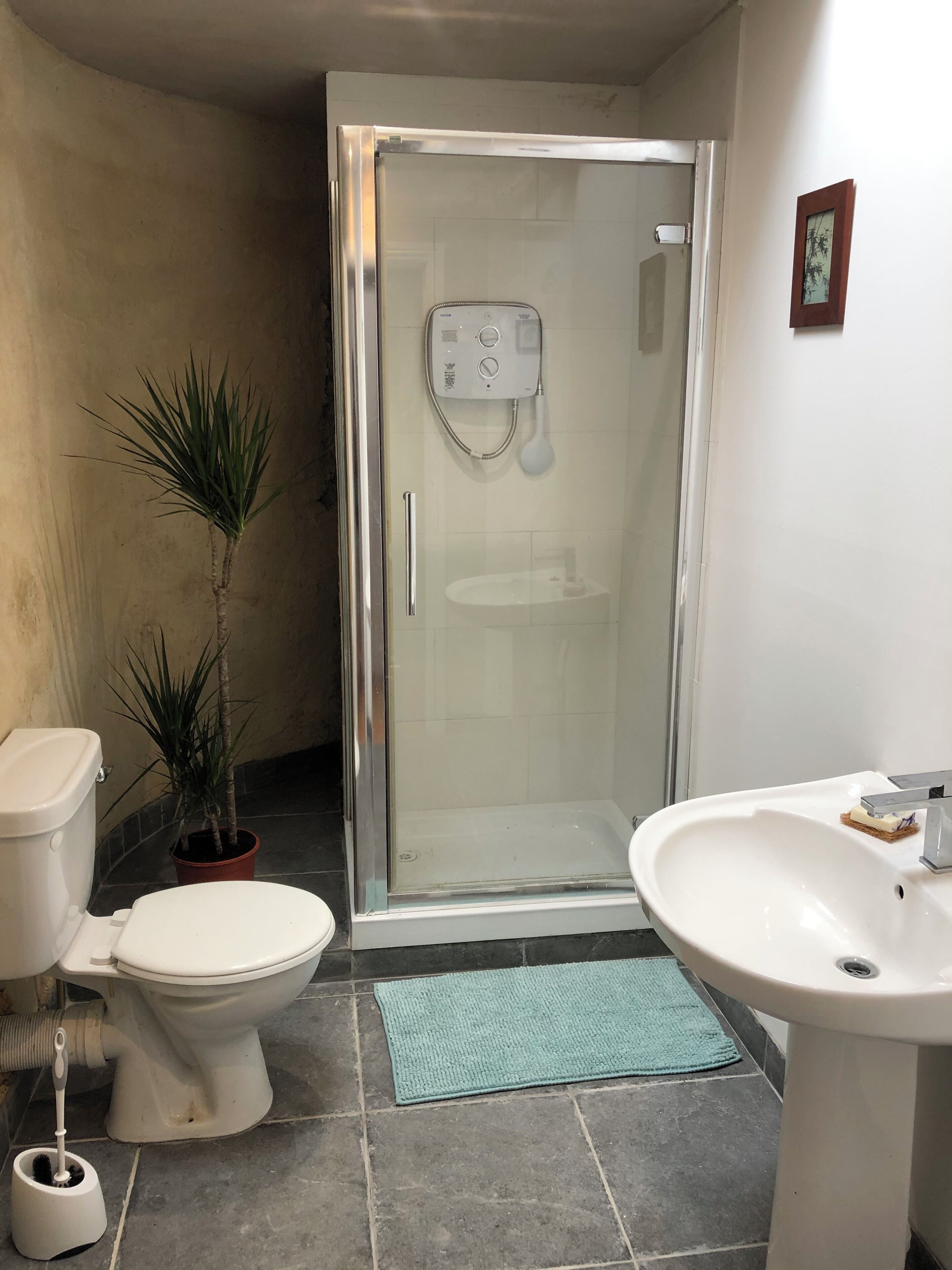Ein Badezimmer mit Toilette, Waschbecken, Dusche und einer Zimmerpflanze.