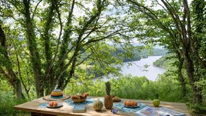 Ein Picknicktisch im Freien mit Blick auf einen See und Wald.