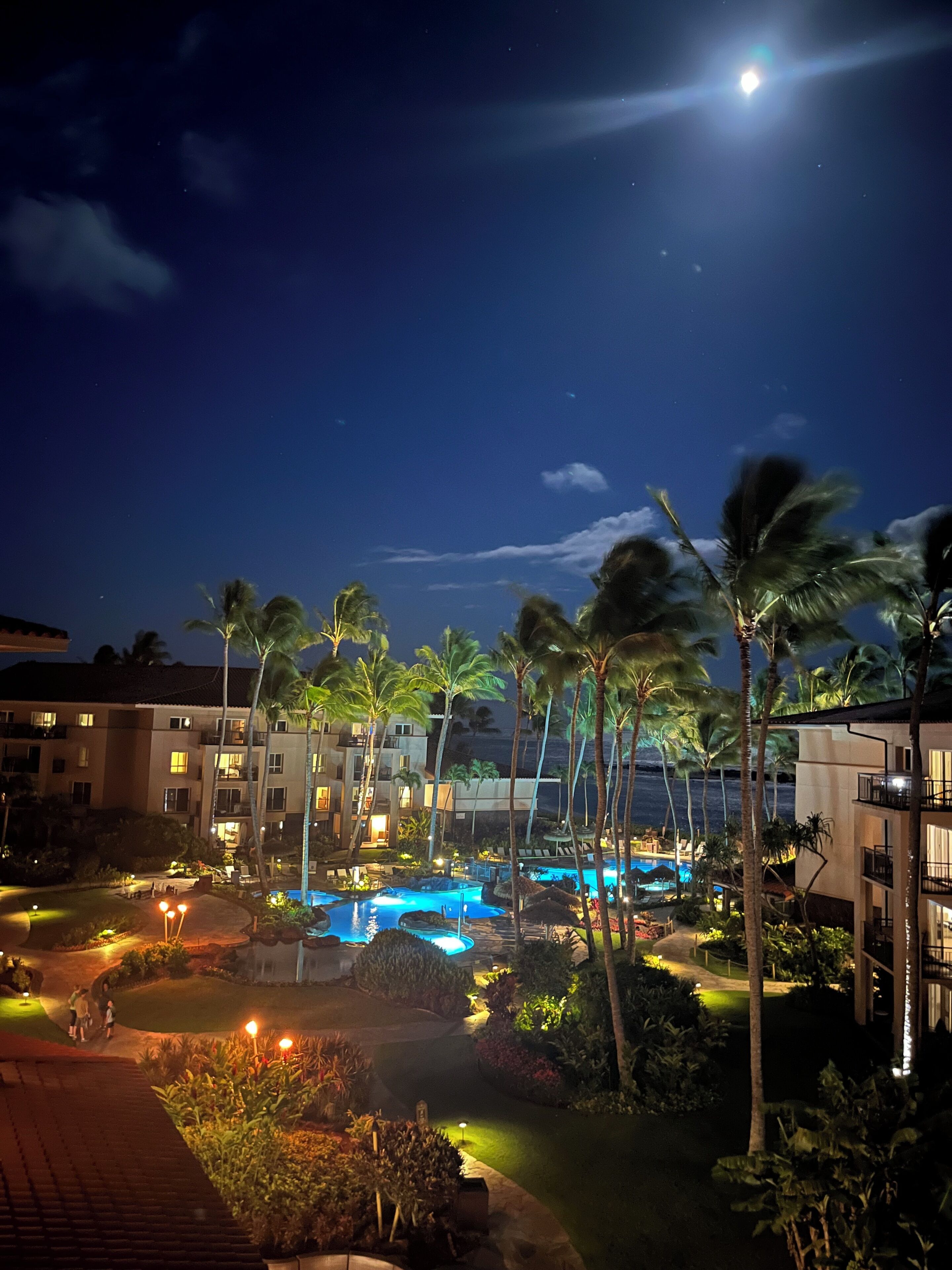 Um resort com piscina, palmeiras e céu noturno.