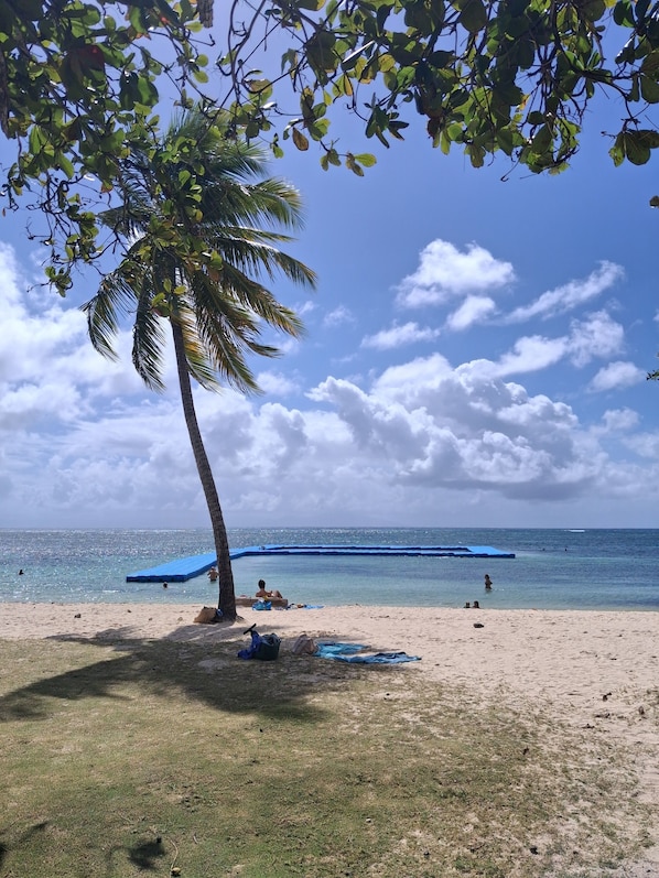 Beach - An architect-designed family home nestled in the treetops near the beach. (Grand-Bourg de Marie-Galante)