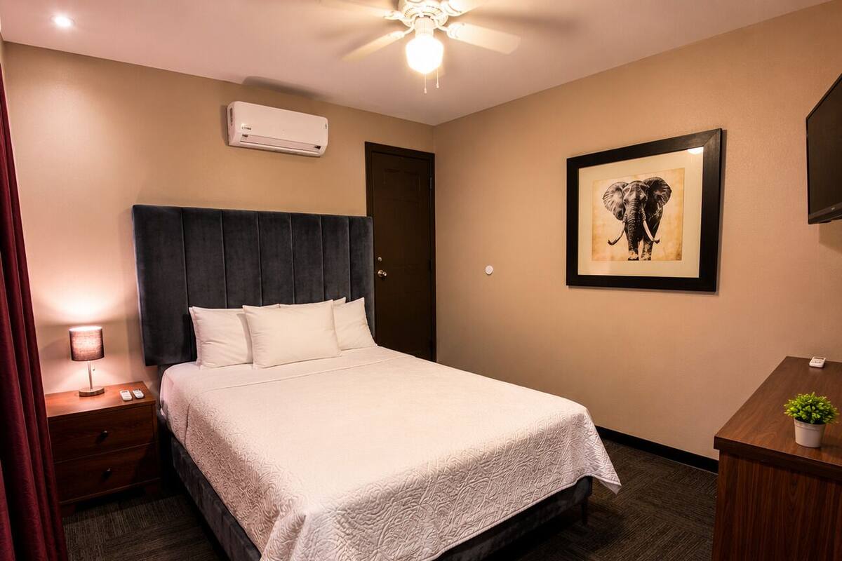 A hotel room with a bed, a desk, a chair, an air conditioning unit, a framed picture on the wall, and a ceiling fan.