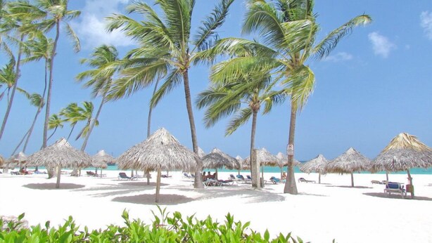 Ein Strand mit Palmen, Reetdachschirmen und Liegestühlen.