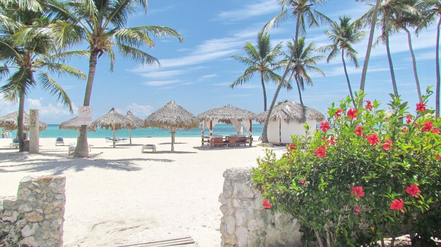 PARADISE DUKASI SUITES at LOS CORALES