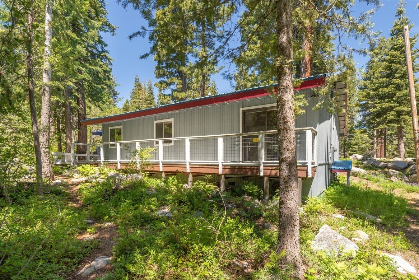 A cabin with a deck, surrounded by trees and vegetation.