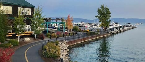 Marina