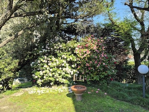 A garden with various plants and a large flower pot.