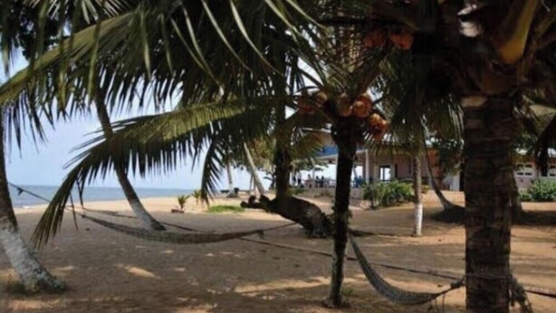Ein Strand mit Palmen, einer Hängematte und einem Gebäude im Hintergrund.