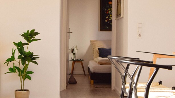Une pièce comprenant une table à manger, des chaises, une plante en pot, un canapé et un tableau accroché au mur.