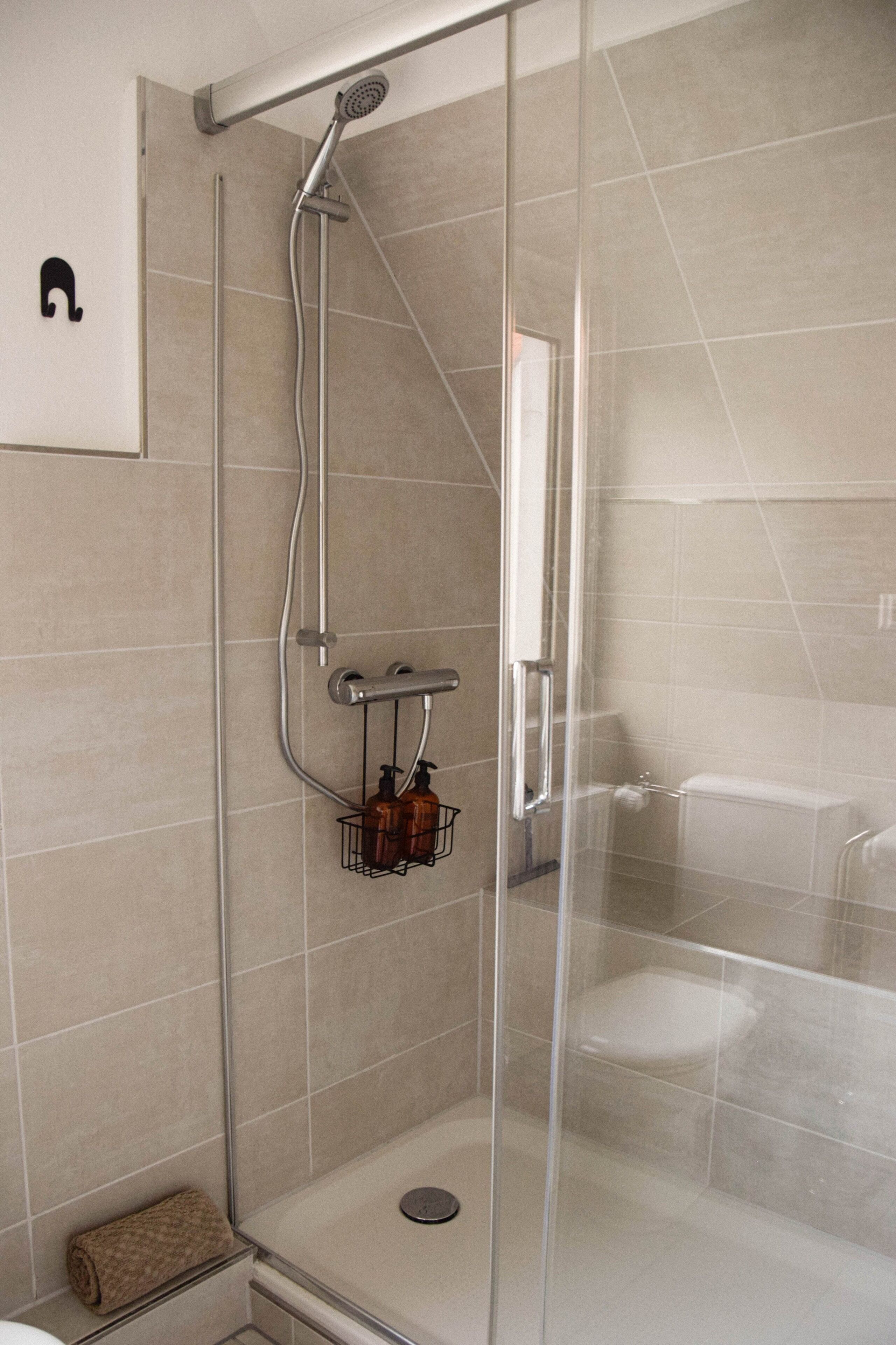 Eine gläserne Duschkabine mit Handbrause, einem Handtuchhalter und einer durch die Scheibe sichtbaren Toilette.
