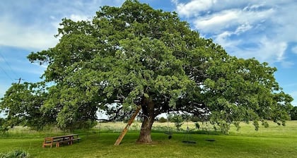 Soul Sanctuary and Happiness Tree