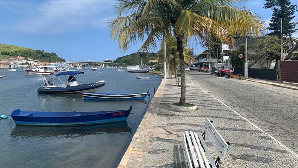 Un muelle con barcos amarrados, una palmera y un paseo pavimentado.