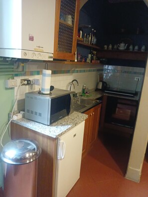 A compact kitchen with a microwave, sink, and oven. - Florentine Renaissance, to experience authentic Florence in the heart of the city (Firenze)