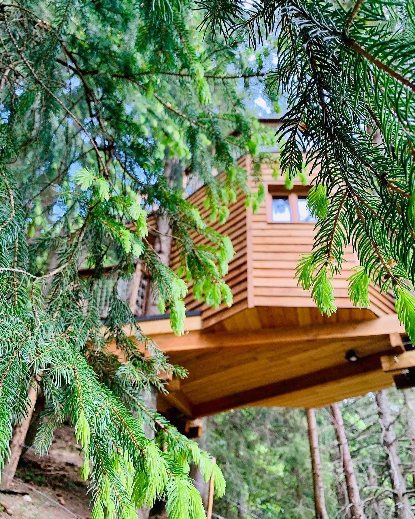 A wooden treehouse elevated among dense green foliage.. Valmo Insolite tree house