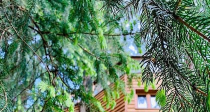 Valmo Insolite tree house