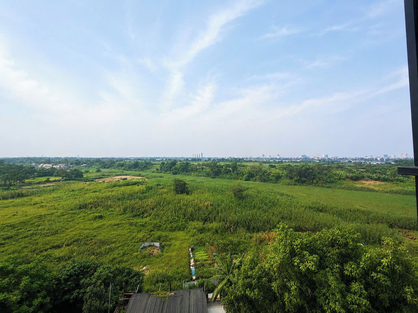 A view of a lush green landscape with a distant city skyline.
