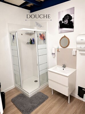 Séchoir à cheveux, serviettes fournies, savon, shampooing