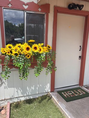 A door with a 'HELLO' mat, a window with sunflowers, and a doorbell.