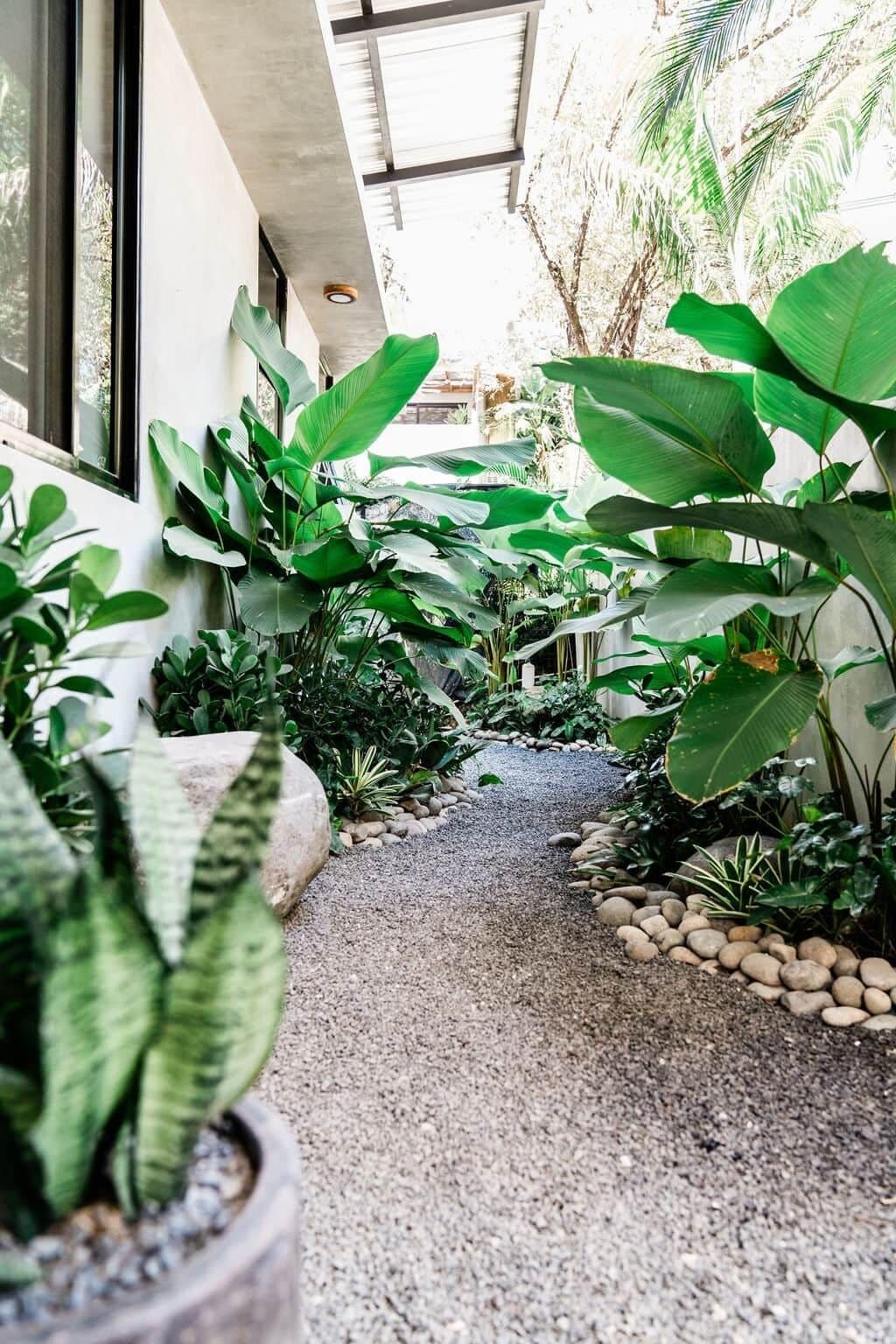 A pathway lined with potted plants leading to a building entrance.