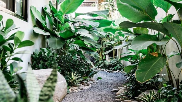 Un chemin bordé de plantes en pot menant à l’entrée d’un bâtiment.