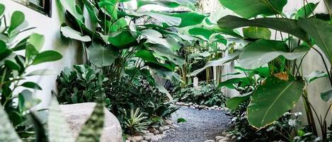 A pathway lined with potted plants leading to a building entrance.