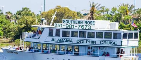 A white boat with 'Southern Rose' and 'Alabama Dolphin Cruise' written on the side, a phone number, and a flag.