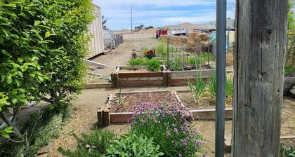 Serene two bedroom mobile home with AC in Murphy, ID.
Outdoor recreation galore!