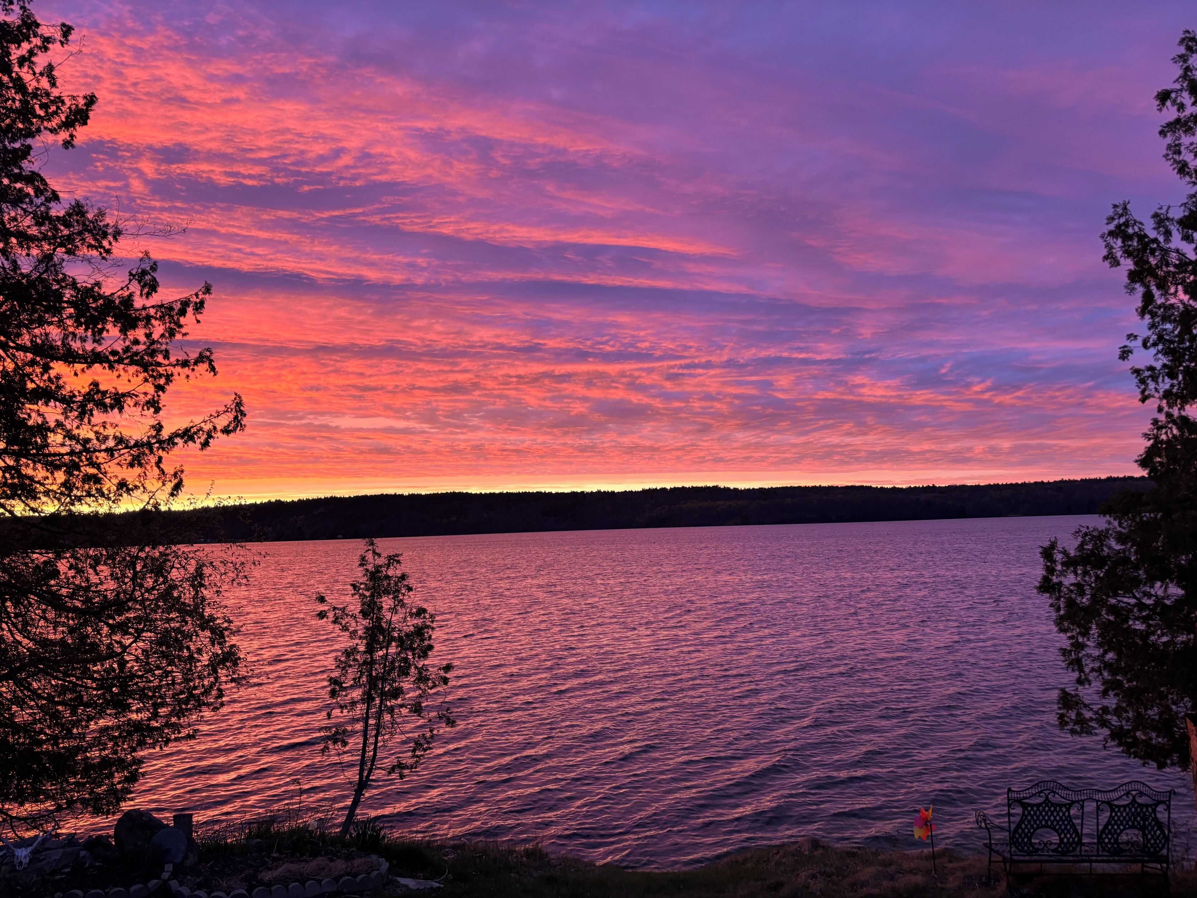 A lakeside view with a sunset, trees, and a bench.