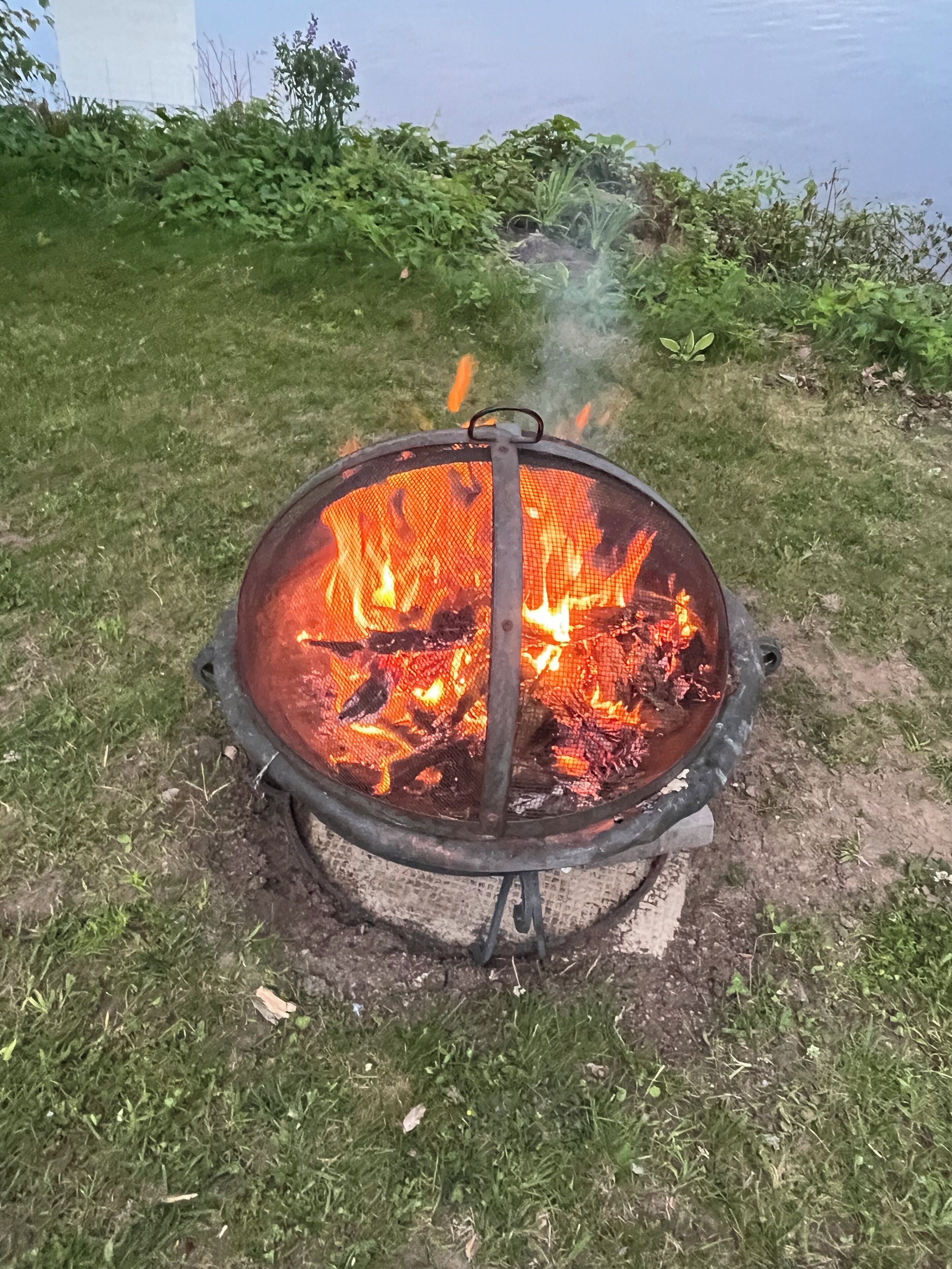 A metal fire pit with a mesh cover, surrounded by grass and plants.