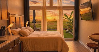 Hilltop Oasis - Guest House-Country Living but close to fun!