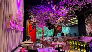 An indoor restaurant with tables and chairs, a bar area, and a ceiling adorned with artificial cherry blossoms. - Yoo Panama Luxury Ocean View Apartment (Panamá)