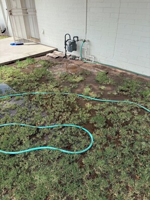 Property grounds - No-Outdoor music, 3-bedroom barn house in really original 1970 Phoenix street (Phoenix)