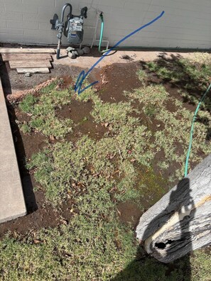 Property grounds - No-Outdoor music, 3-bedroom barn house in really original 1970 Phoenix street (Phoenix)