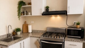 Cozinha equipada com fogão a gás, micro-ondas, pia e armários.
