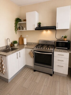 A kitchen with a gas stove, microwave, sink, and cabinets. - Warm and Cozy Apartment in Punta Cana (Punta Cana)